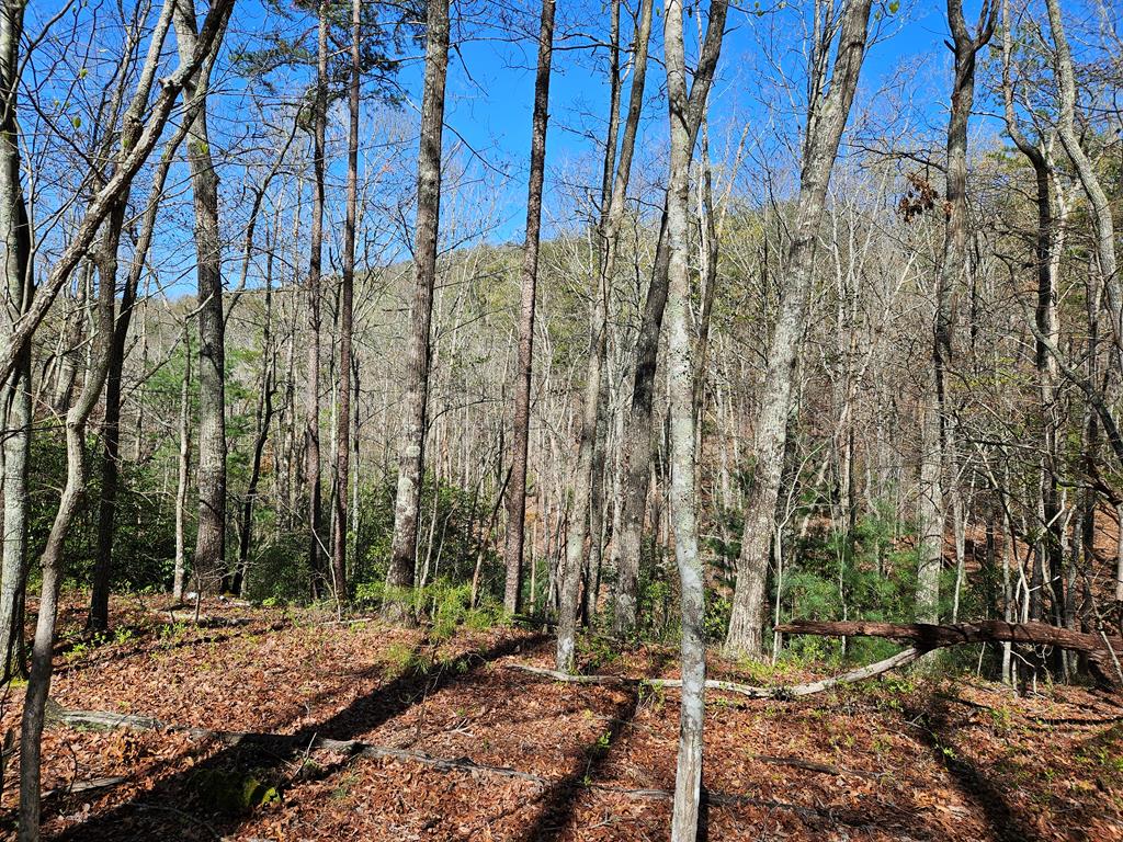 5.2 Deer Crest Road Blue Ridge, GA 30513 - Photo 56 of 66 a view of a backyard of the house