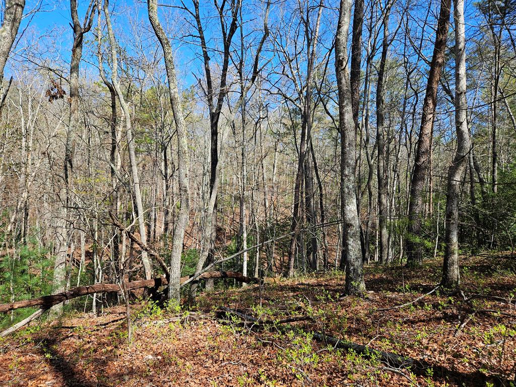 5.2 Deer Crest Road Blue Ridge, GA 30513 - Photo 57 of 66 a backyard of a house with lots of green space