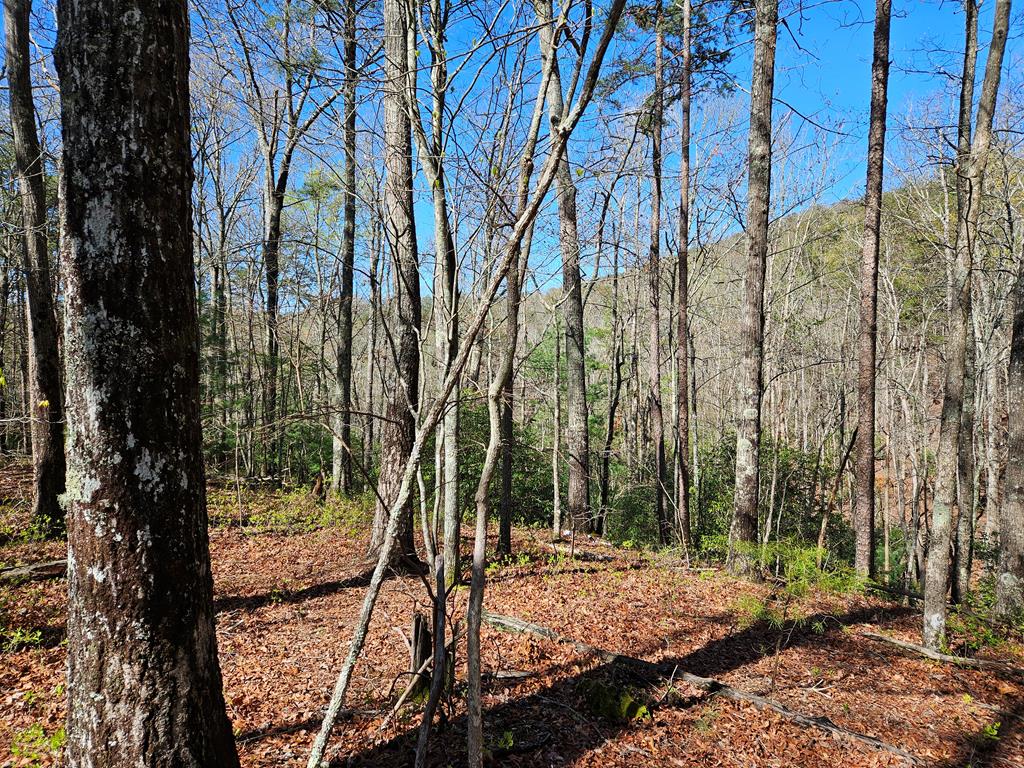 5.2 Deer Crest Road Blue Ridge, GA 30513 - Photo 58 of 66 a backyard of a house with lots of green space