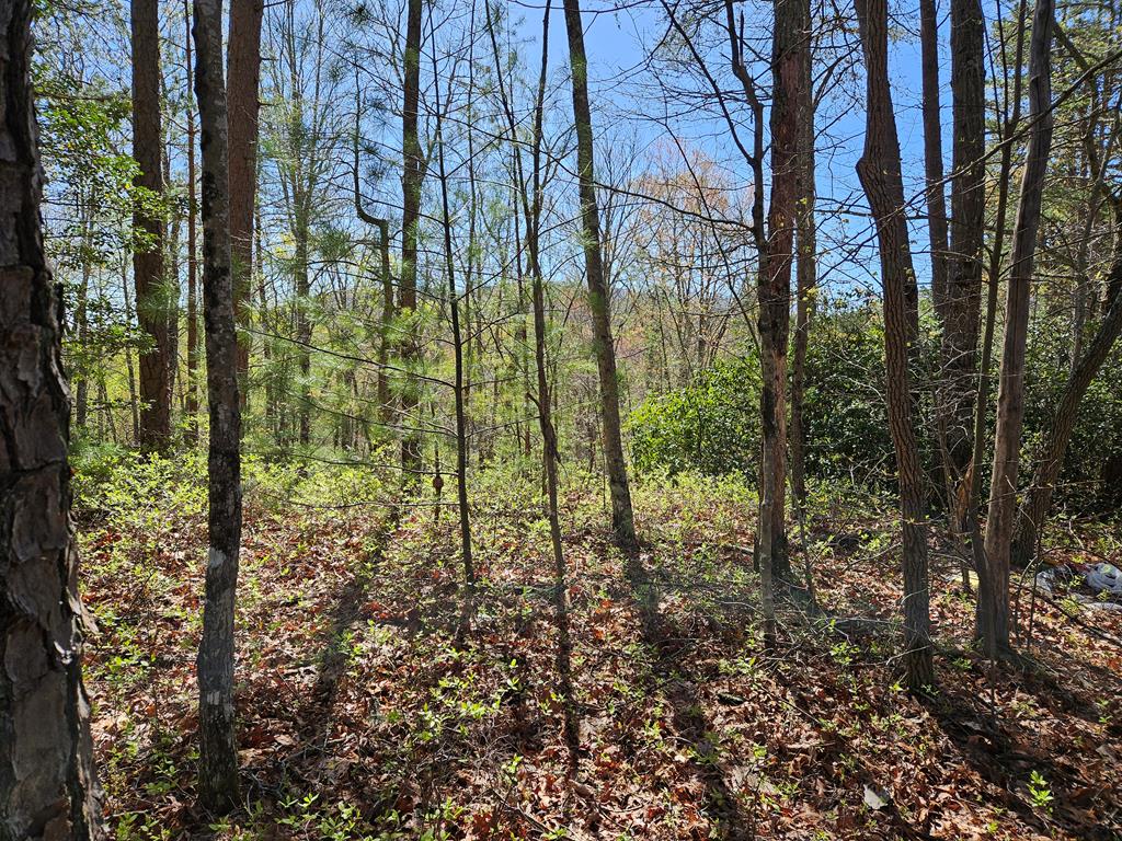 5.2 Deer Crest Road Blue Ridge, GA 30513 - Photo 63 of 66