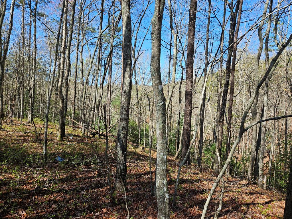 5.2 Deer Crest Road Blue Ridge, GA 30513 - Photo 65 of 66 a backyard of a house with lots of trees