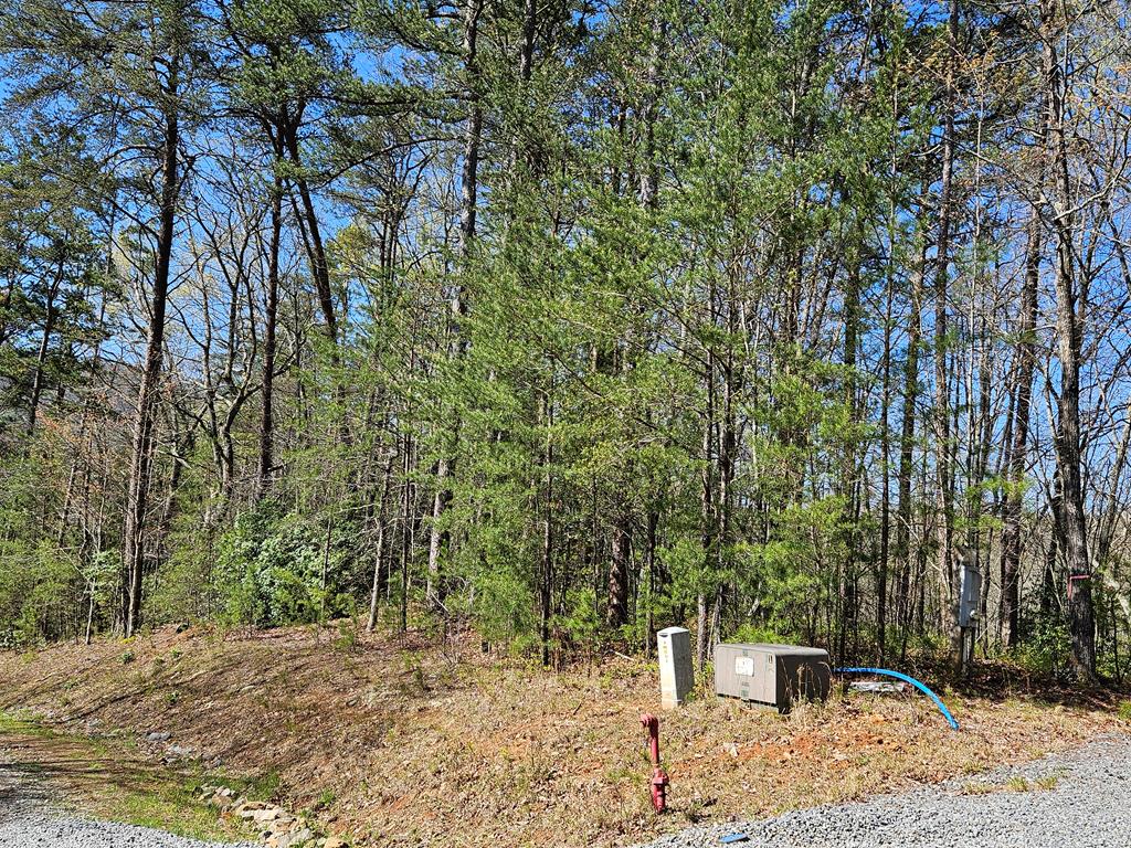 5.2 Deer Crest Road Blue Ridge, GA 30513 - Photo 66 of 66 a backyard of a house with lots of green space