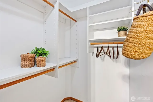 a potted plant sitting on a floor in front of a door