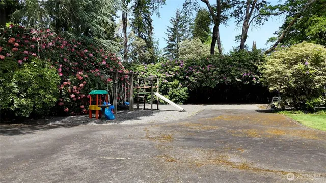 a view of a field with a tree