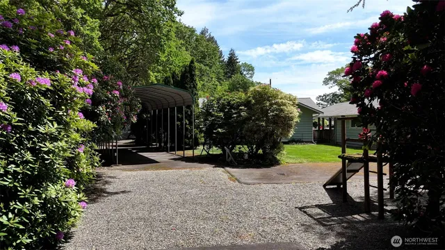 a view of a garden with a bench and trees