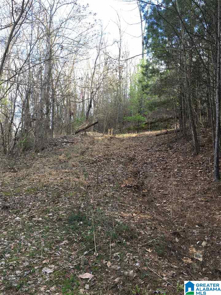 230 County Line Road Oxford, AL 36203 - Photo 15 of 50