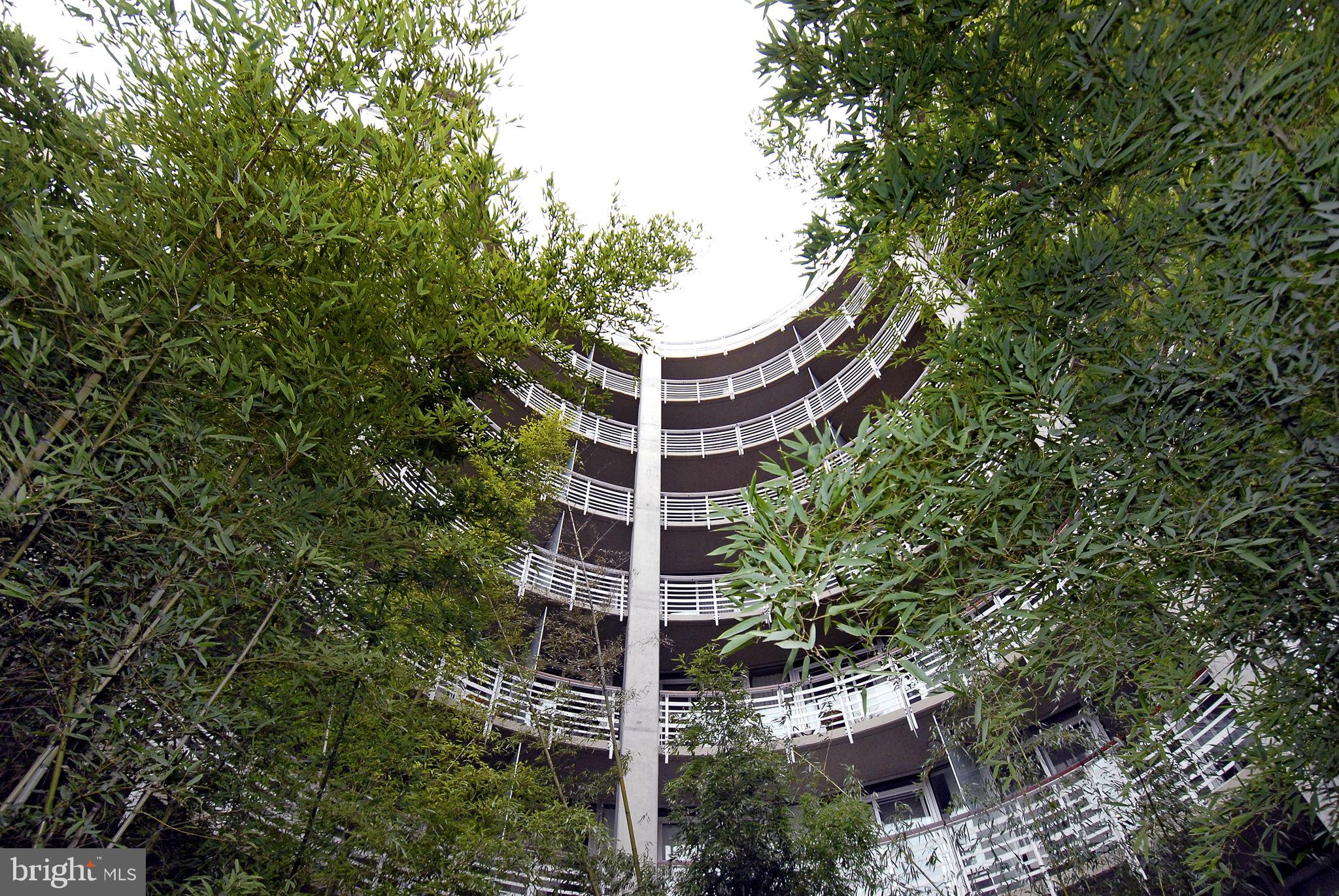 1300 13th Street Northwest, Unit 603 Washington, DC 20005 - Photo 22 of 26 a tall building with large trees
