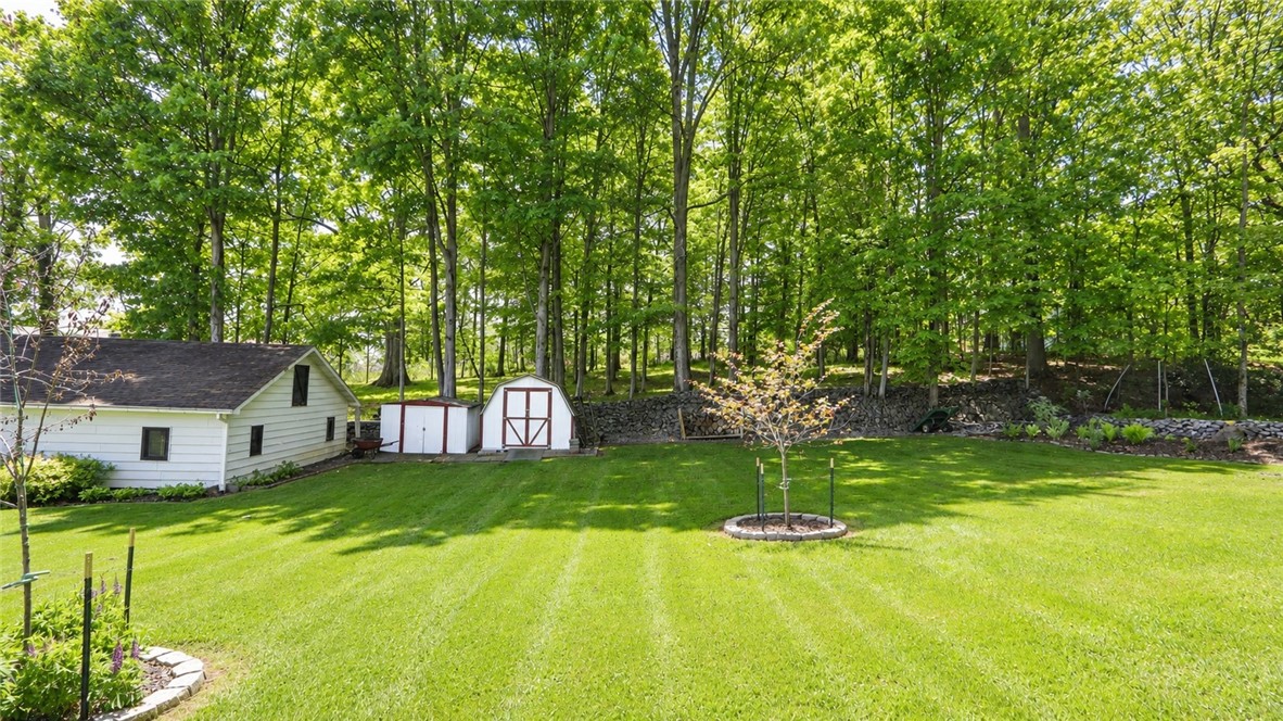 2448 Lower Lake Road Seneca Falls, NY 13148 - Photo 43 of 50