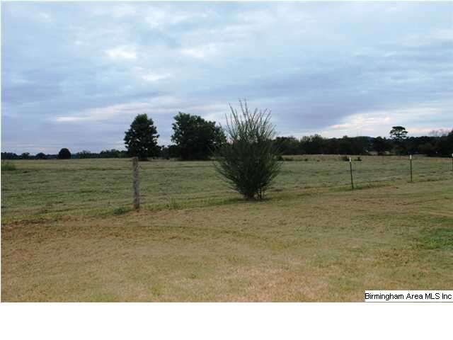 61 Sterling Road, Unit 13A Eastaboga, AL 36260 - Photo 29 of 32