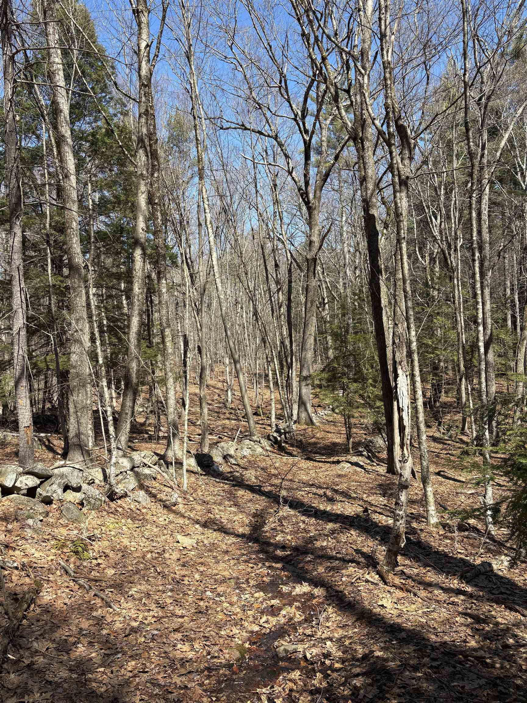 79-1 Currier Road Candia, NH 03034 - Photo 24 of 33