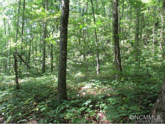 84 Si Knob Road Cullowhee, NC 28723 - Photo 1 of 5 Gallery Image 1