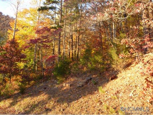 84 Si Knob Road Cullowhee, NC 28723 - Photo 3 of 5 Gallery Image 3
