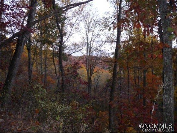 84 Si Knob Road Cullowhee, NC 28723 - Photo 5 of 5 Gallery Image 5