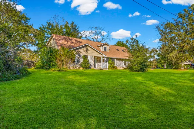 a view of banana tree