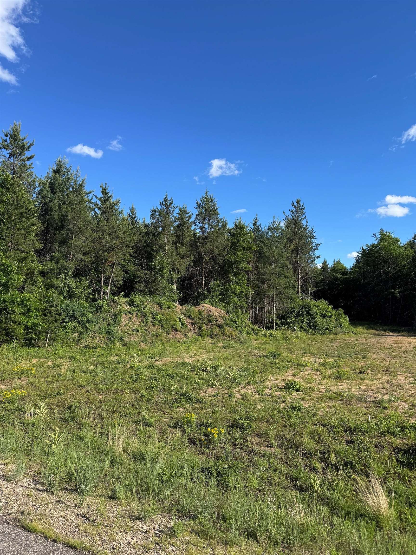 Lot 30 Red Tail Hawk Drive Stevens Point, WI 54482 - Photo 3 of 3