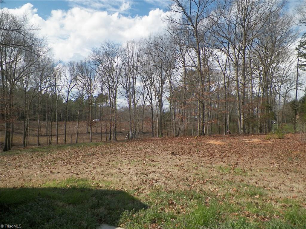 3590 Simerson Road Linwood, NC 27299 - Photo 22 of 28 View from Patio