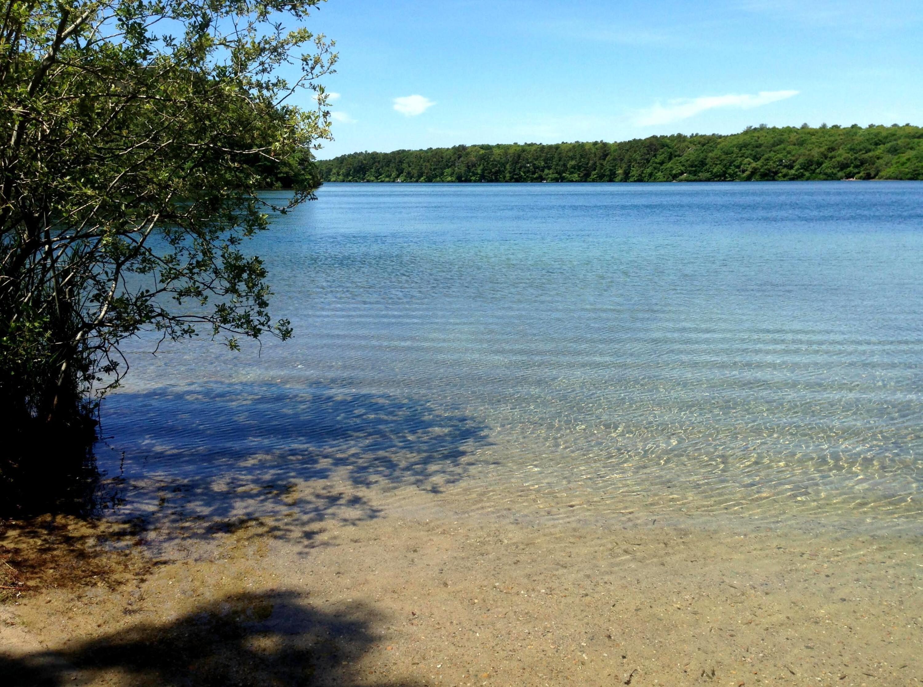 910 Crowells Bog Road Brewster, MA 02631 - Photo 26 of 32 Sheep Pond