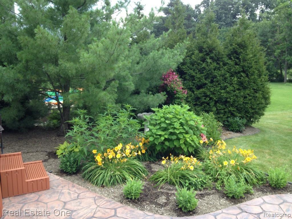 3133 East Maple Road Wixom, MI 48393 - Photo 3 of 37 A Taste of Spring - How Beautiful!