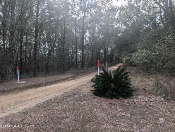 $310,000 | 1900 Olive Lane, Bonifay, FL 32425