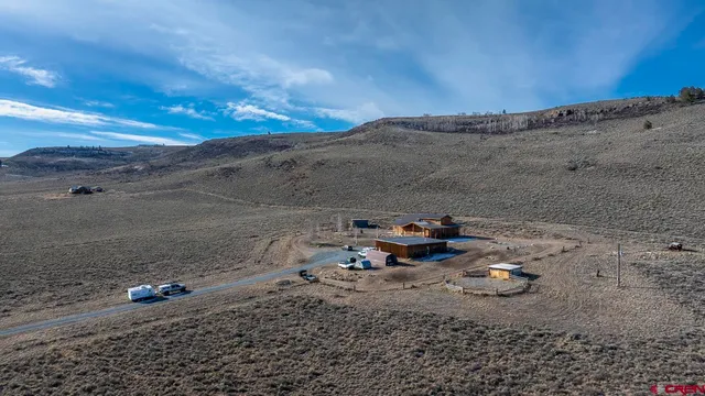 a view of a dry yard with trees