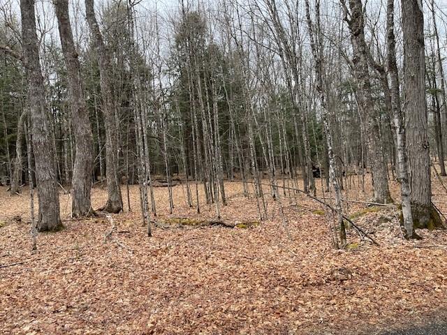 On Forest Lake Road, Unit LOT 4 Land O'Lakes, WI 54540 - Photo 1 of 2 Gallery Image 1