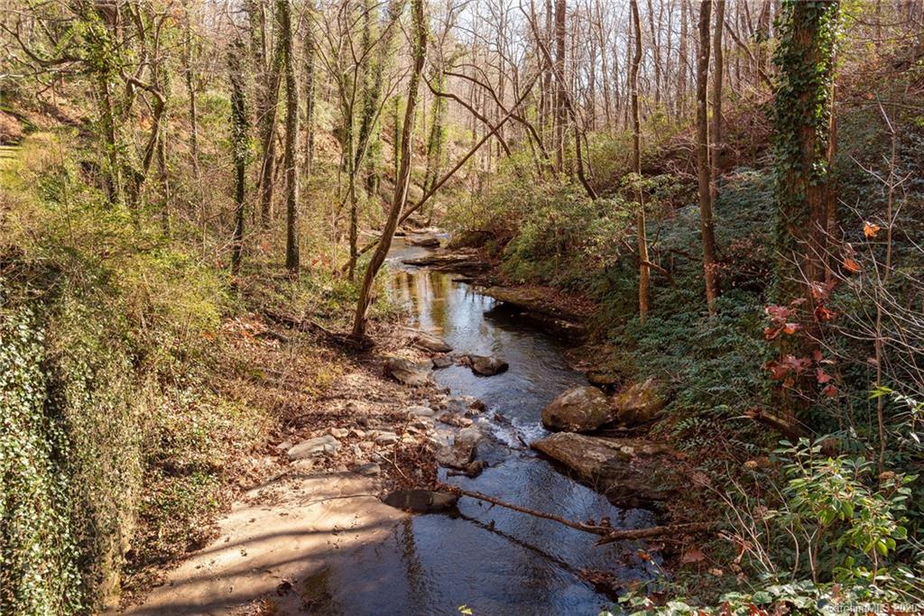 2540 Skyuka Road Tryon, NC 28782 - Photo 35 of 37 Gallery Image 35