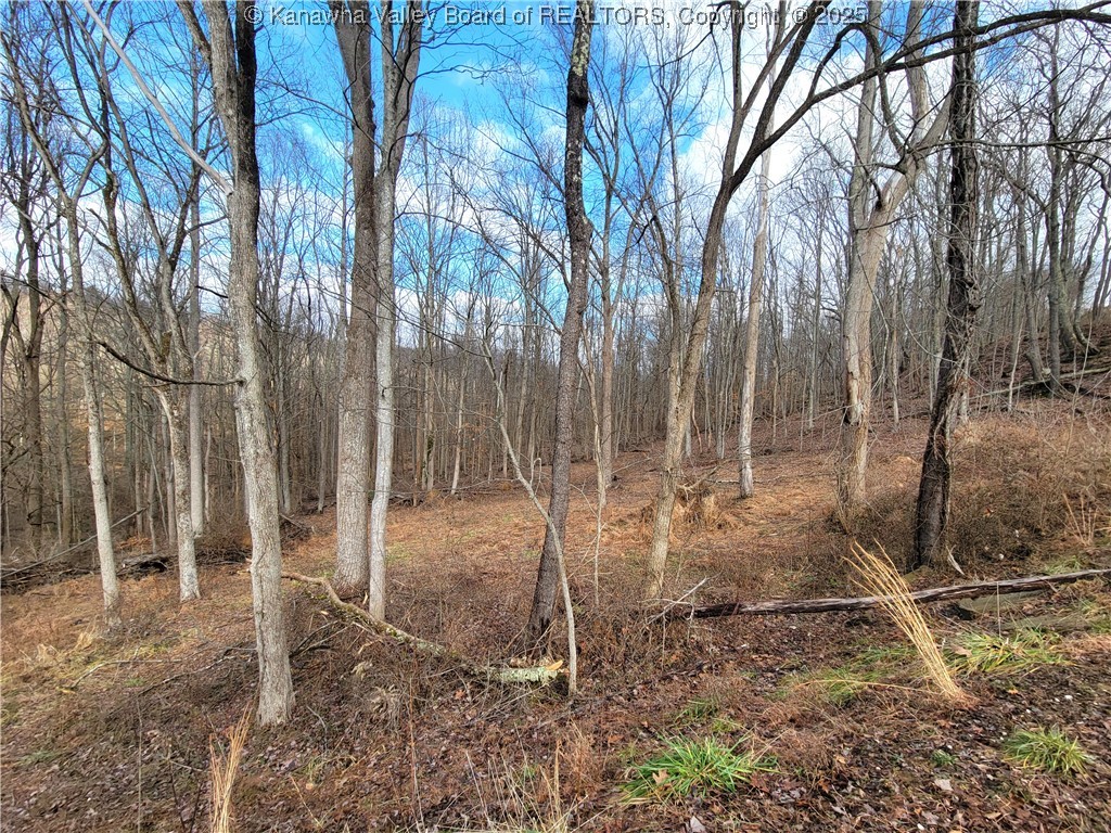 2325 Dry Ridge Road St. Albans, WV 25177 - Photo 23 of 24 Gallery Image 23