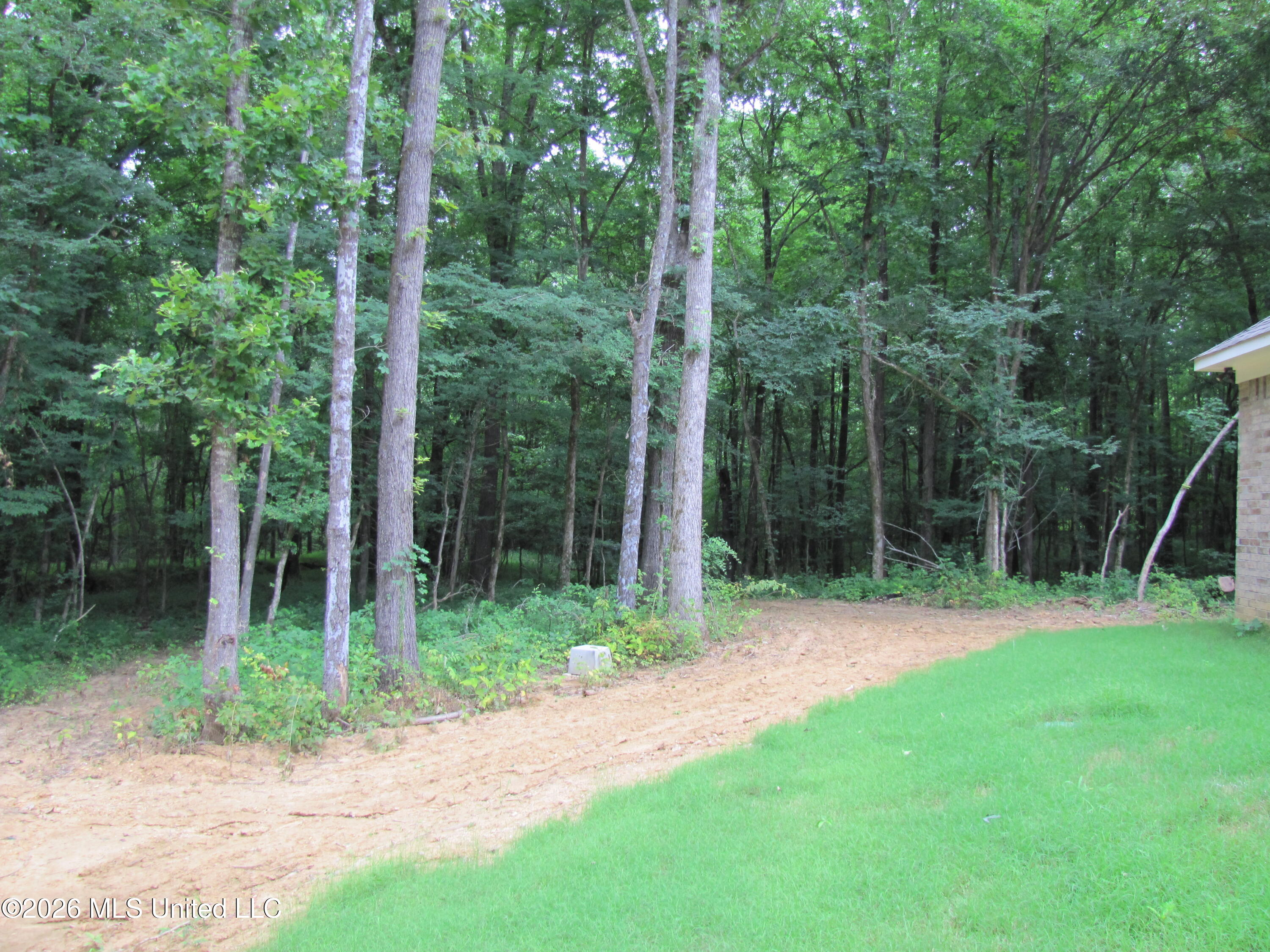 1970 Smart Road Como, MS 38619 - Photo 15 of 19 IMG_2168