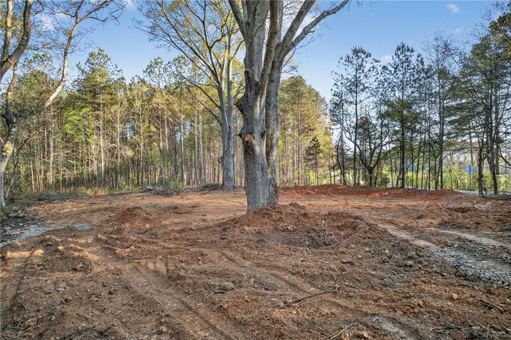 3230 Steadman Road Tallapoosa, GA 30176 - Photo 44 of 52 a view of outdoor space with trees