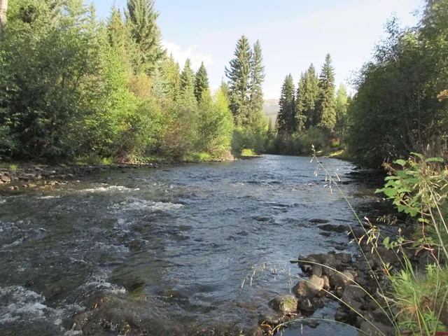 a view of a dirt road with trees in the background
