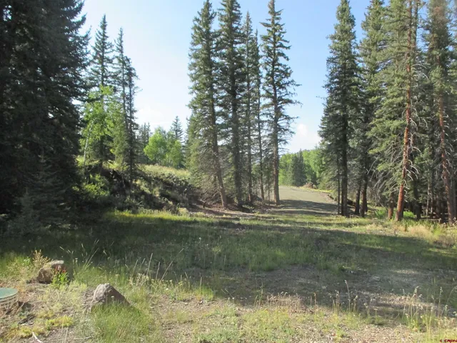 a view of a lake view with tree