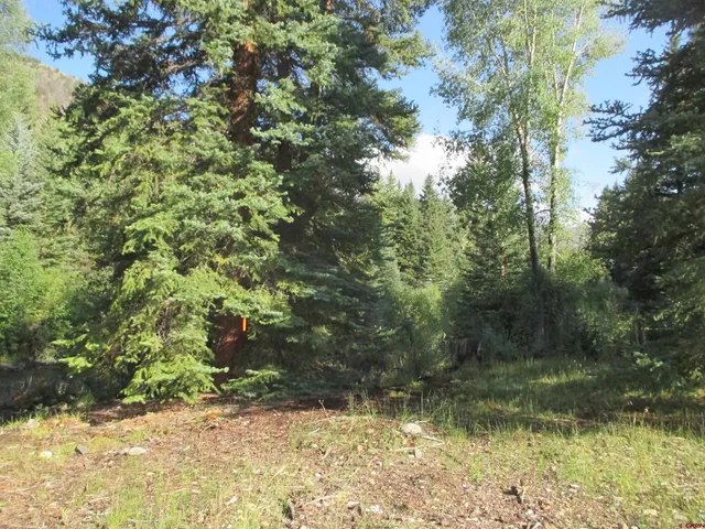 a view of a yard with a tree