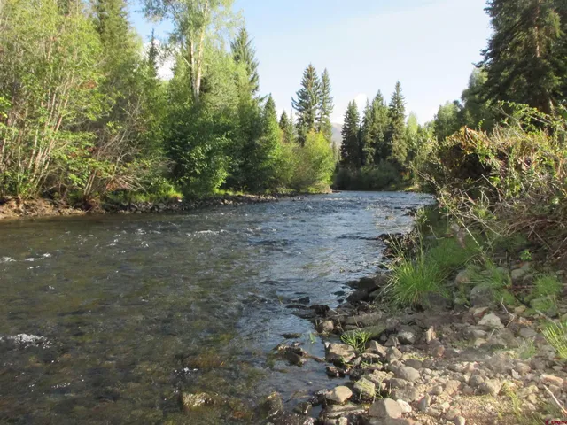 a view of a dirt road with trees in the background
