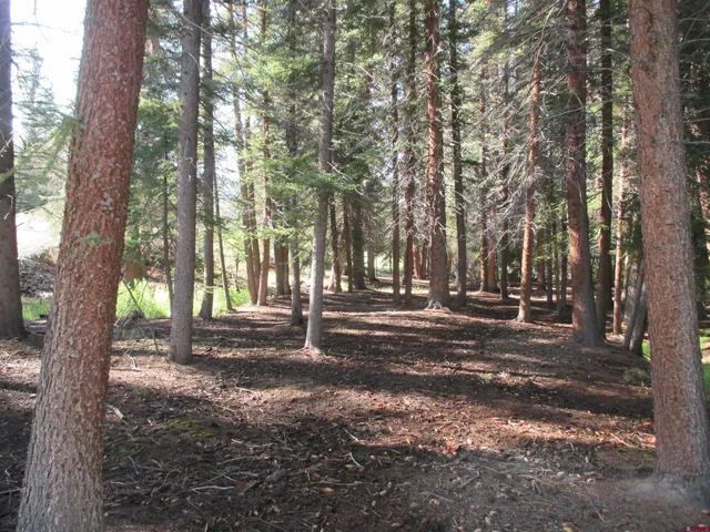 a view of road with trees