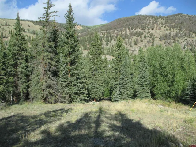 a view of a yard with a tree