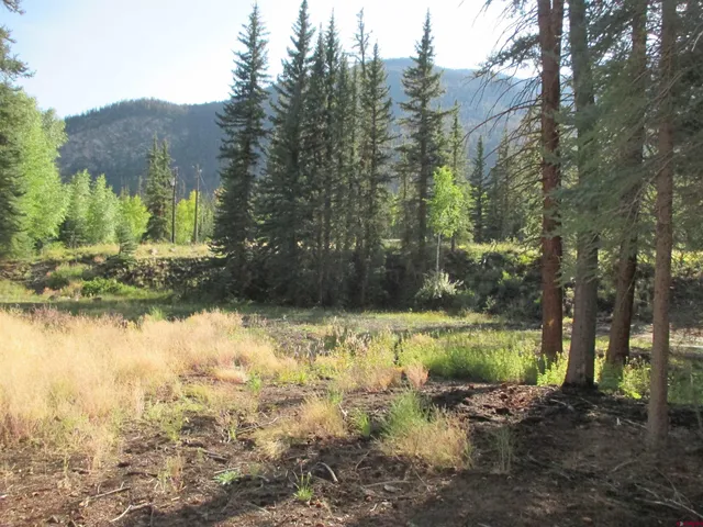 a view of a lake with a tree