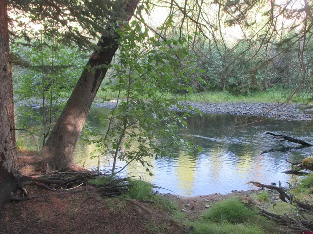 a view of a lake with lots of green space