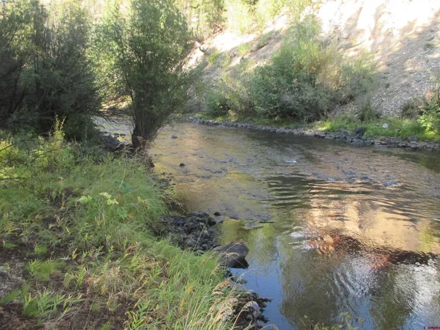 a view of a lake with a forest