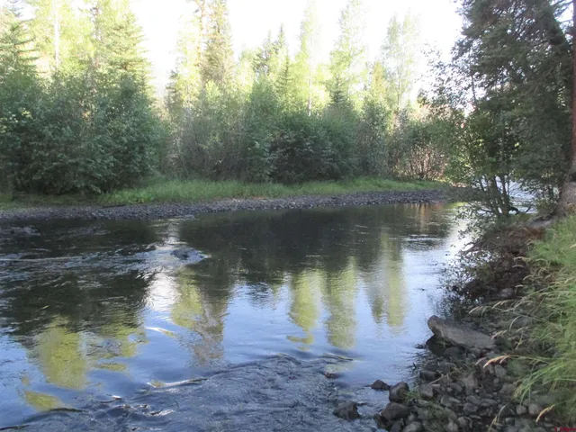 a view of a tree in the middle of a yard