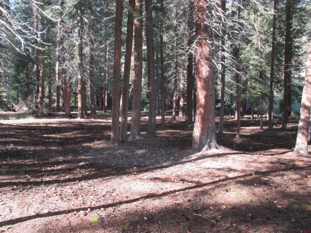a view of backyard with green space