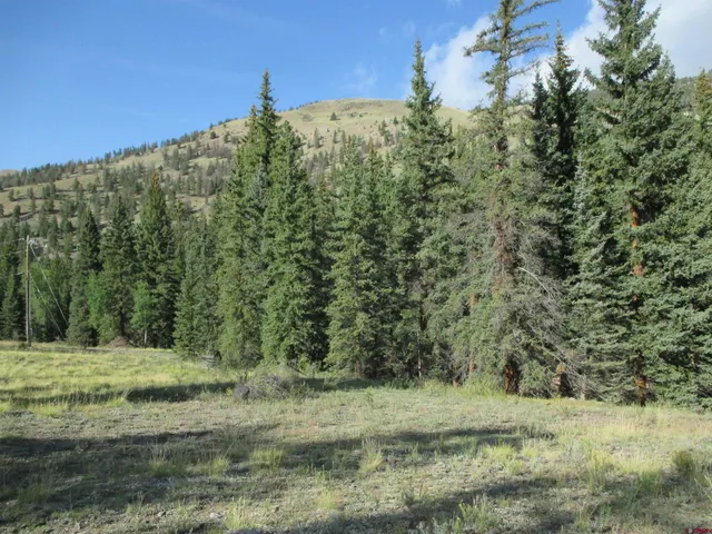 a view of a yard with a tree