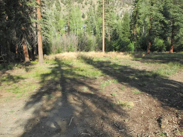 a view of a backyard with large trees