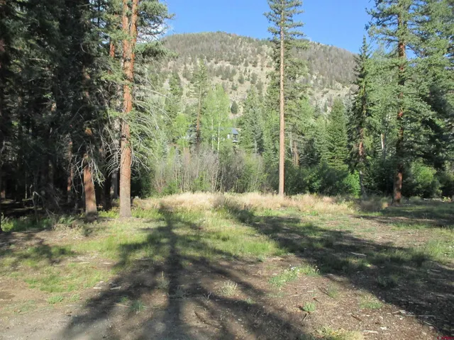 a view of a yard with trees