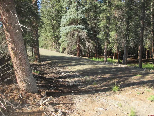a view of a yard with an outdoor space