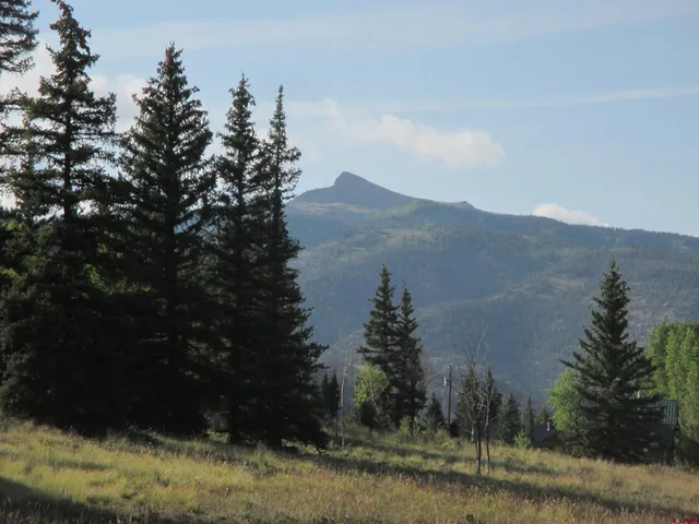 a view of a yard with large trees