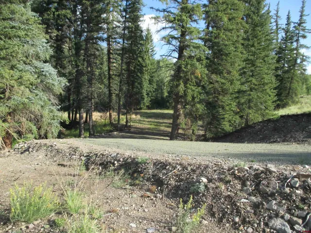 a view of a yard with a tree