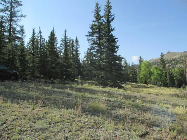 a big yard with lots of green space and plants