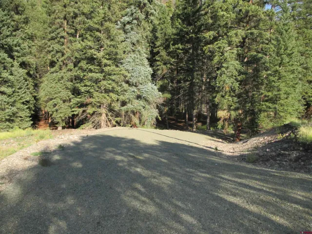 a view of a big yard