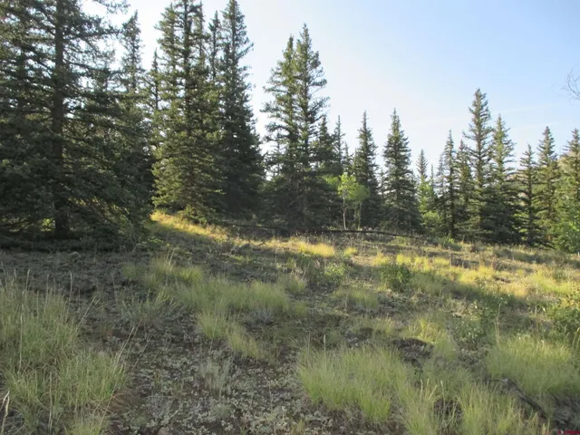 $595,000 | 2500 Highway 149, Lake City, CO 81235