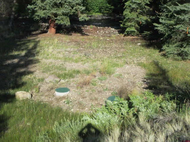 a view of a yard with plants and large trees